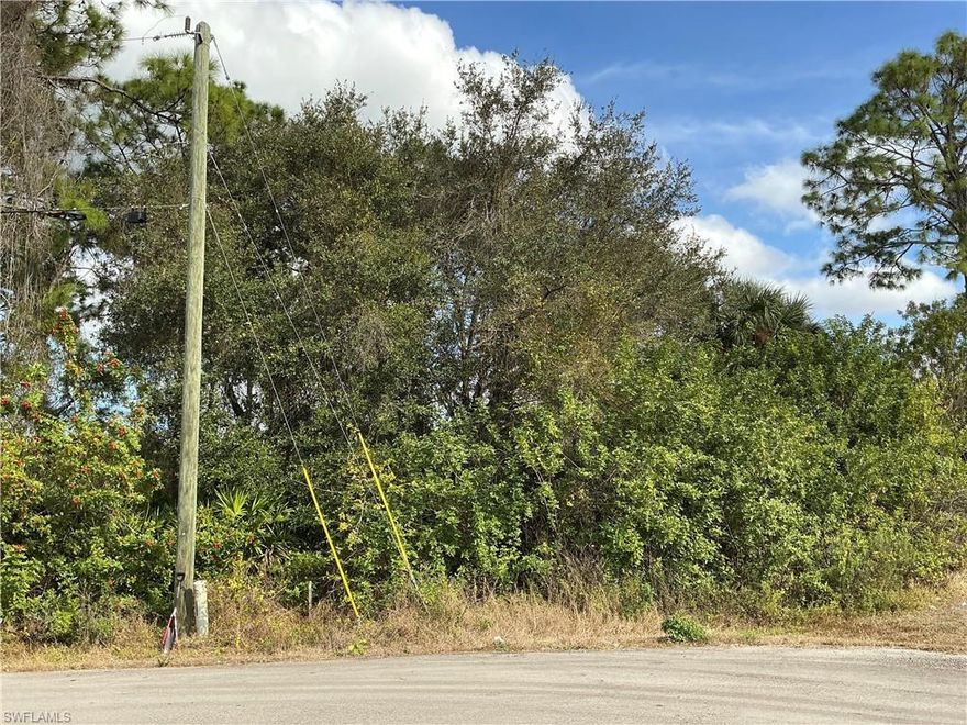 Situated in the heart of Lehigh Acres, this oversized lot measures 41 by 137 feet. Located outside the flood zone, with no wetlands or protected species on site, this lot is shovel-ready and primed for development. Lot for sale in this growing neighborhood of Lehigh Acres. Easy access to Sr. 82, Daniels Pkwy, Fort Myers Airport, Edison Ford Museum, shopping, restaurants, schools, and the beaches of Fort Myers. Build an income-producing property.