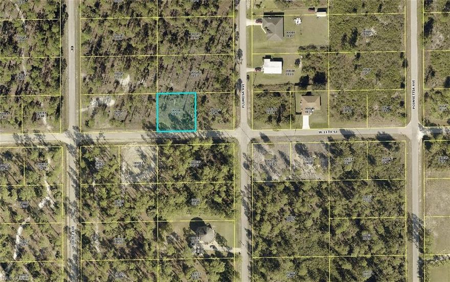 Don't miss this opportunity to build your home on a great lot located in Lehigh Acres! Be part of this quiet neighborhood!