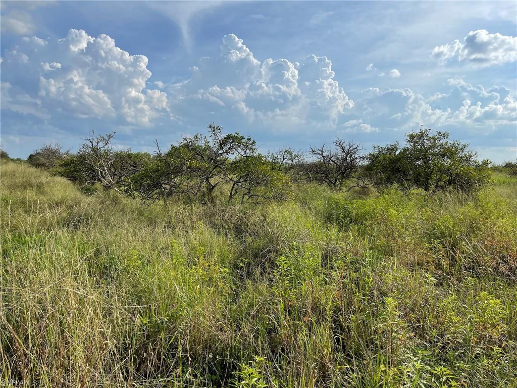 GERBER GROVES SEC 1 - Land