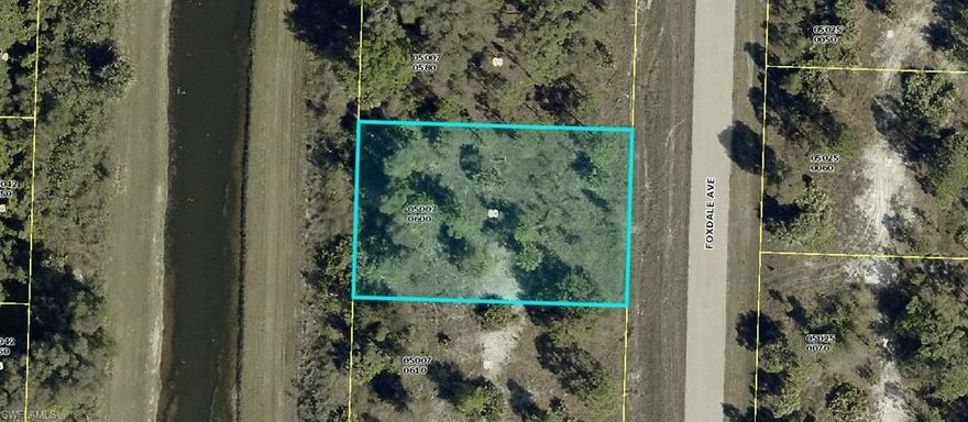 GREAT OPPORTUNITY!! This Beautiful 0.23 Acre Lot Located in East Lehigh Acres, One of Florida’s Fastest-Growing Communities, is the Perfect Spot to Build Your Dream Home or Invest!! Enjoy the Peace and Quiet of a Residential Neighborhood while Remaining Very Close to Shopping, Dining, Schools, Golf Clubs, Supermarkets, Parks, and Everything East Lehigh Acres has to Offer. Conveniently Situated Right Next to Alexander Graham Bell Blvd and Just a Few Minutes from FL-82, providing Easy Access to 1-75, is a Short Drive to Fort Myers, SW Florida International Airport, and Southwest Florida’s stunning Gulf Coast Beaches, making it Ideal for Commuters or Future Development.  Don’t Miss Out on this Great Opportunity!! Submit Your Offers Today, Seller Financing Available, Call for Details!!! Agents Read Remarks.