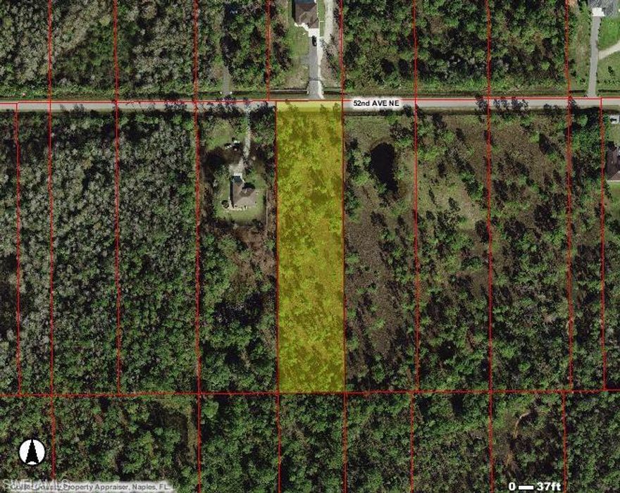 NICE PINE FILLED TRACT ON SOUTH SIDE OF STREET. NICE HOMES ON STREET. WETLAND REPORT SHOWS 1.99 ACRES ARE WETLNDS. REPORT INDICATES NO EXOTIC-NUISANCE PLANT SPECIES OR PRESENCE OF PROTECTED ANIMAL SPECIES.BUILDABLE PROPERTY WITH NECESSARY PERMITS.