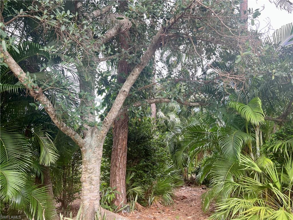 KINGS LAKE - Residential Lease