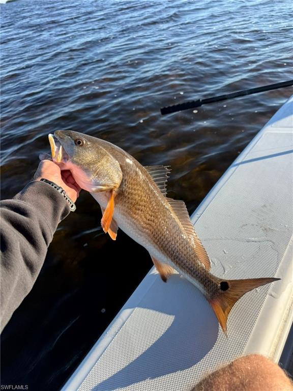 MATLACHA - Residential Lease