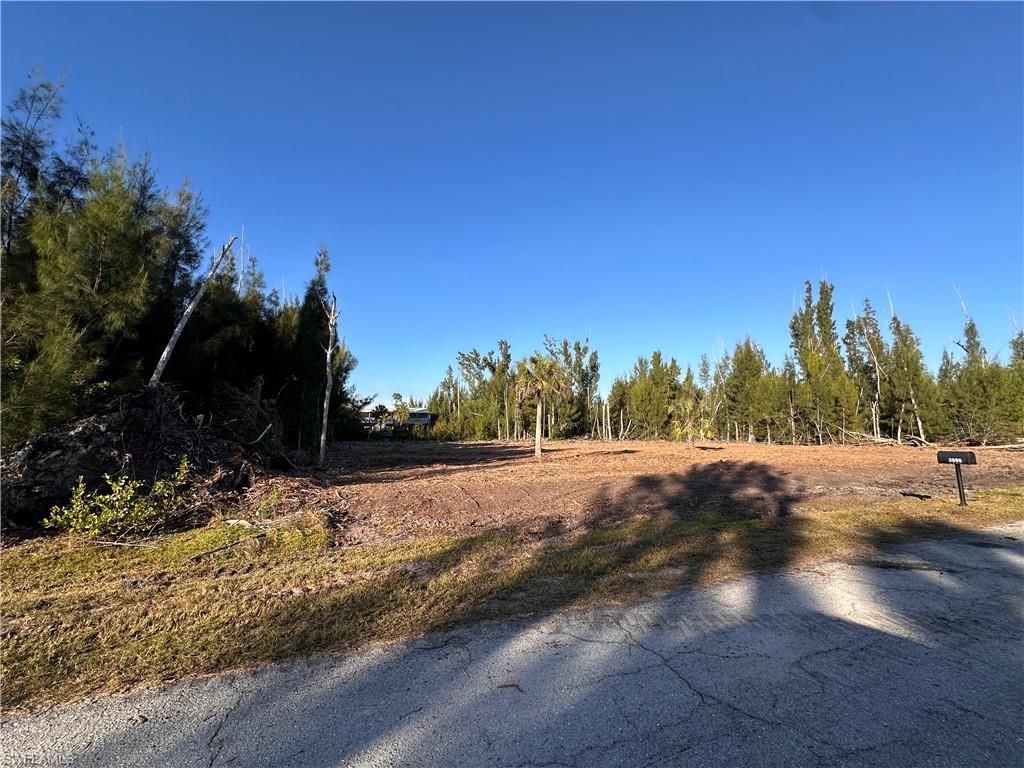 PINE ISLAND TROPICAL HOMESITES - Land