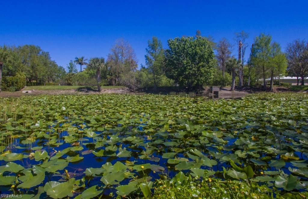 CYPRESS LAKE COUNTRY CLUB - Residential