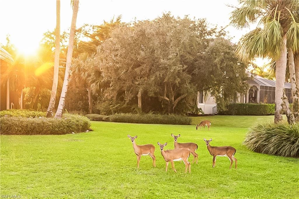 TWIN EAGLES - Residential