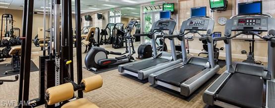 PALM COLONY - Residential