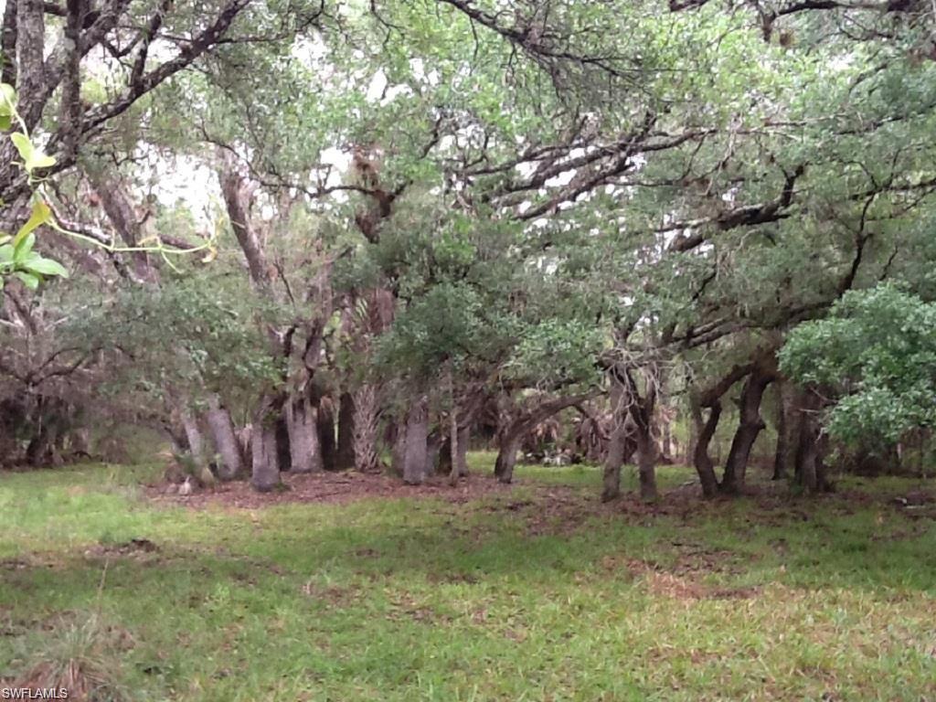 ACREAGE HEADER - Land