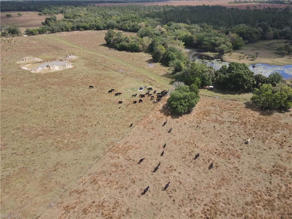 ACREAGE HEADER - Land