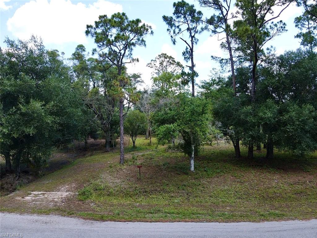 FORT DENAUD ACRES UNIT 2 - Land