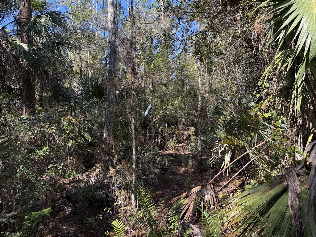 GOLDEN GATE ESTATES - Land