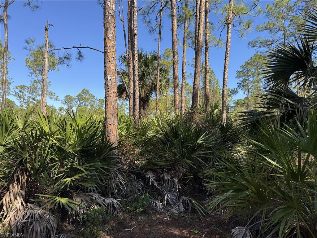 GOLDEN GATE ESTATES - Land