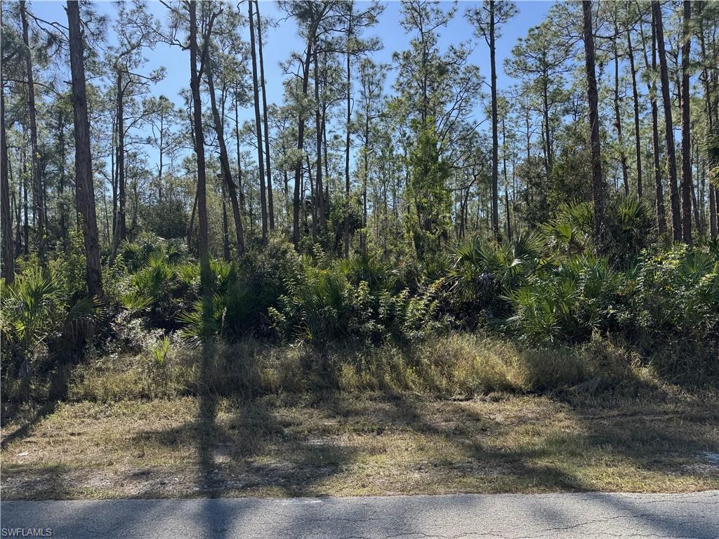 GOLDEN GATE ESTATES - Land