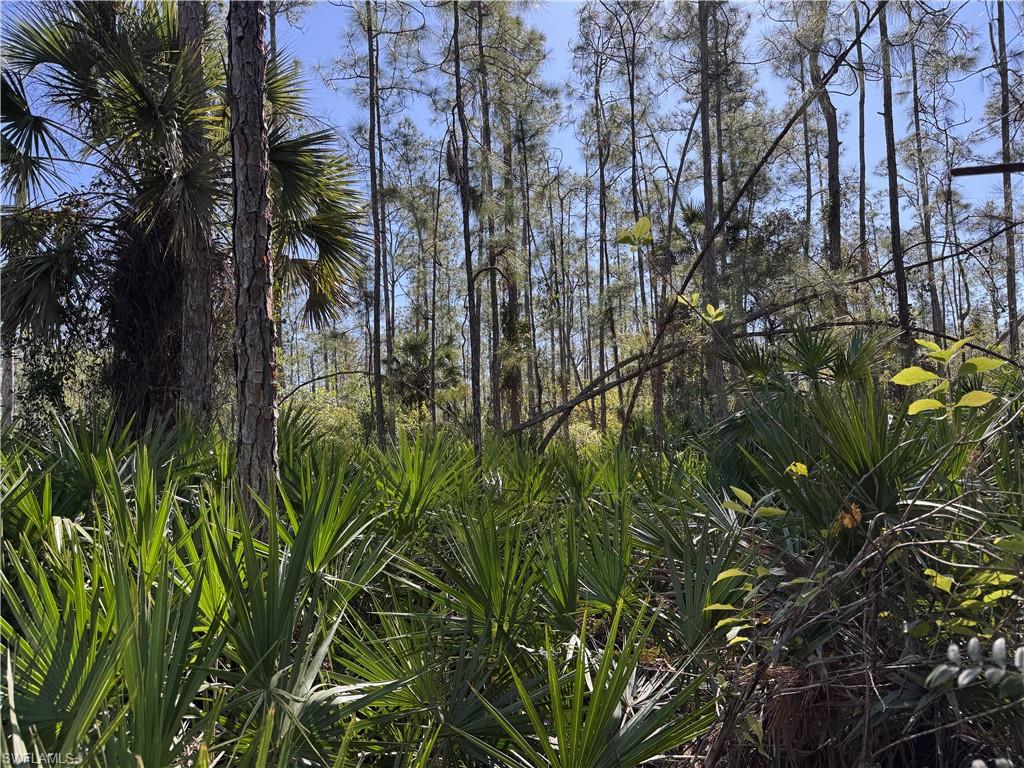 GOLDEN GATE ESTATES - Land