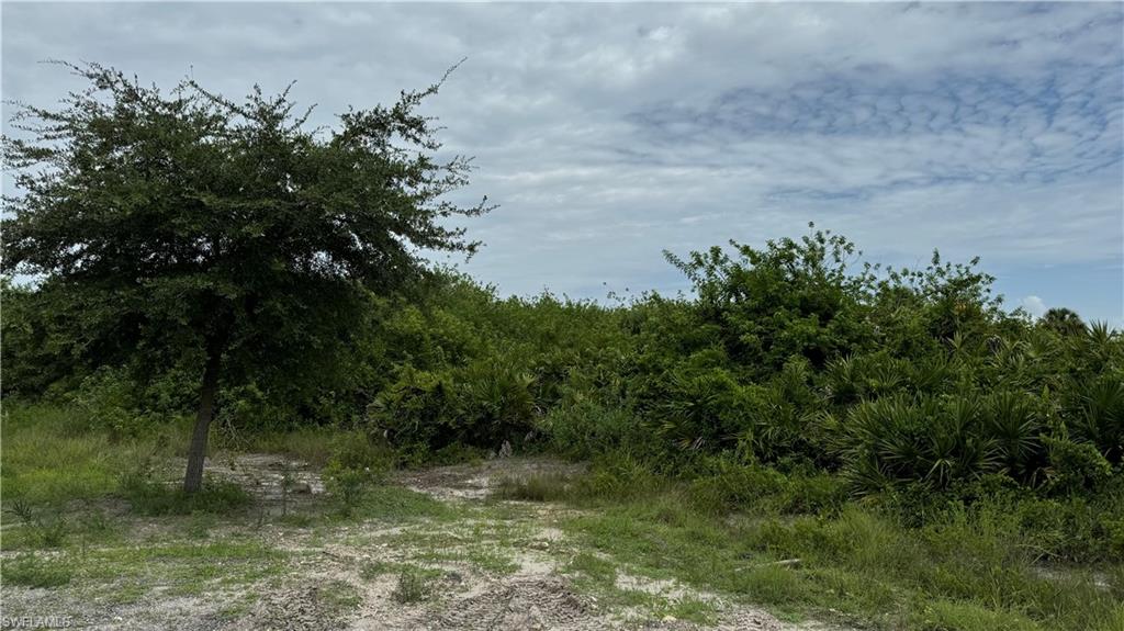 LEHIGH PROPERTIES - Land