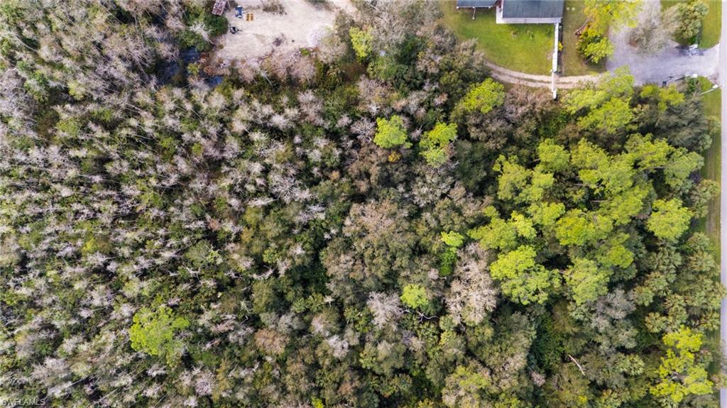 GOLDEN GATE ESTATES - Land