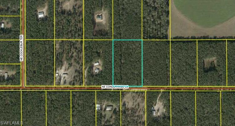 Listing image 1