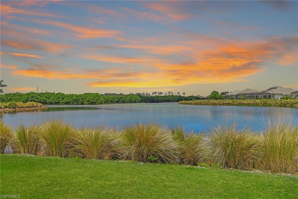 ISLES OF COLLIER PRESERVE - Residential