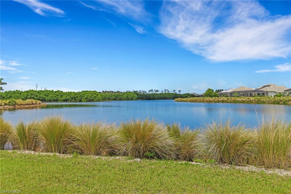 ISLES OF COLLIER PRESERVE - Residential