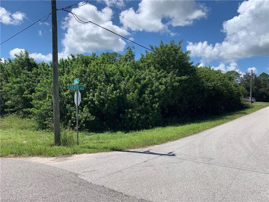 Spacious corner lot with paved roads just blocks from Grassy Lake - electric available at road.... Come build your dream home..