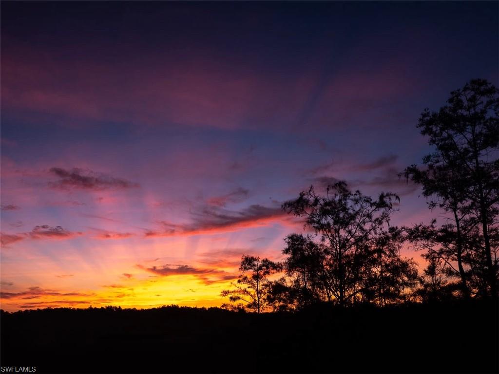 ISLES OF COLLIER PRESERVE - Residential