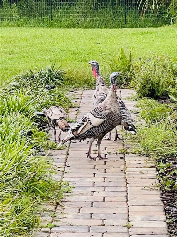 NOT APPLICABLE - Residential