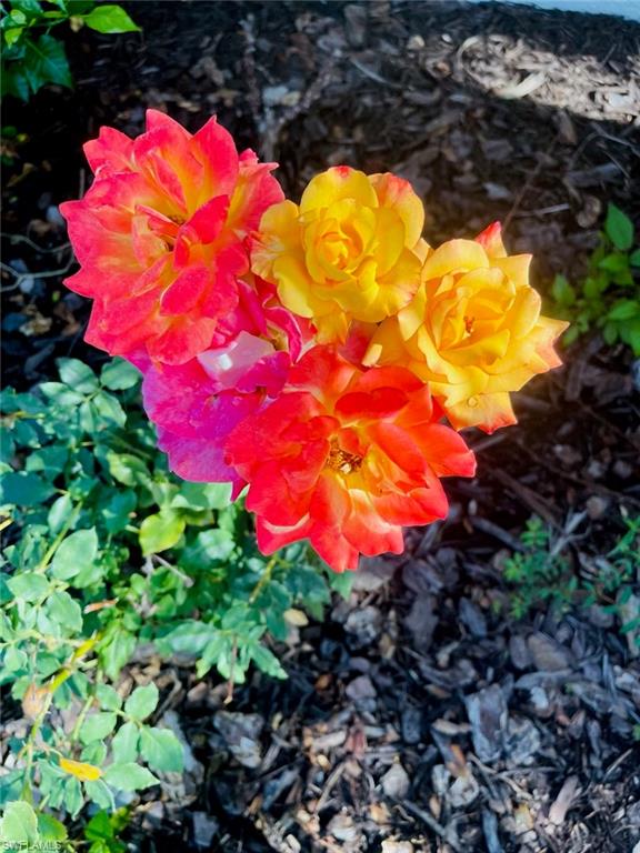 NOT APPLICABLE - Residential