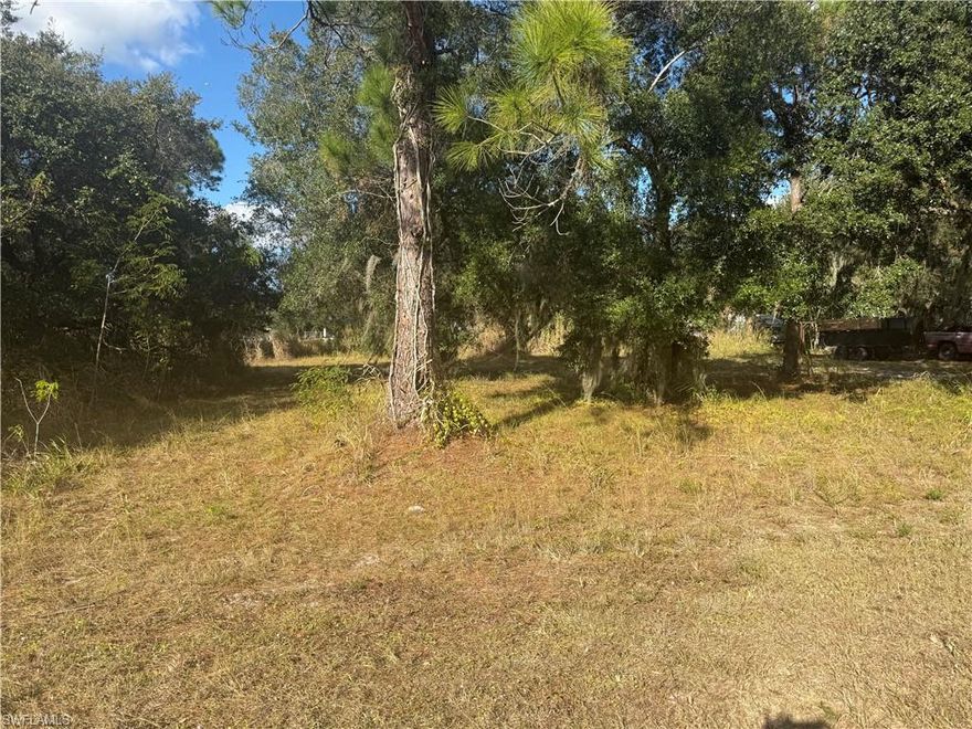 Rare opportunity to own a ½-acre lot zoned TFC-2, ideally located in Alva and close to schools and the Alva Boat Ramp. This property offers excellent potential to build and enjoy the Florida lifestyle, with convenient access to boating, outdoor recreation, and local amenities. Spacious lot in a desirable area! ideal for a future homesite or investment opportunity.