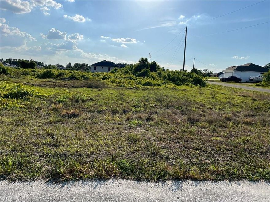 Great opportunity to buy and build your new home in a GREAT location! The lot located directly south of this parcel is also available giving you the possibility of owning a half acre corner lot!! Quick access in to this area via Alabama Rd. just off of Homestead Road or south to State Road 82. This is one of the best priced lots in the neighborhood. Buy now and build or hold this parcel for future investment. BEAUTIFUL LOT