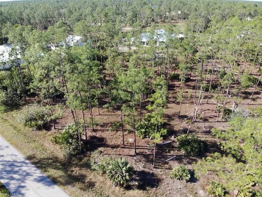 Beautiful 1 Acre vacant lot homesite in Lehigh Acres, ready to make into your ideal home! Located in FEMA Flood Zone X so NO lender required flood insurance. Close proximity to Joel Blvd. The lot features some nice pine trees for shade. Flood Zone X which does NOT require any flood insurance by a lender in order to build.