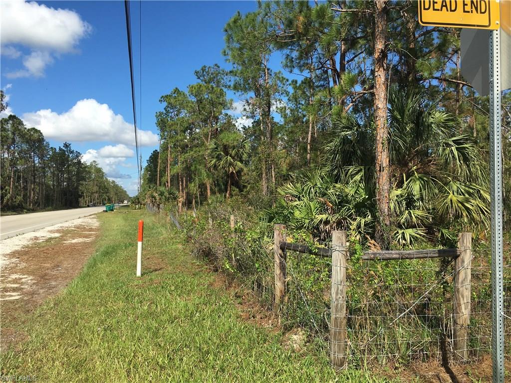 GOLDEN GATE ESTATES - Land