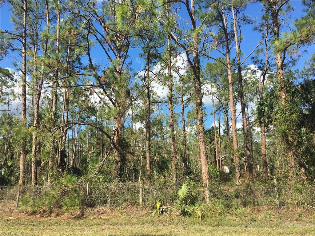 GOLDEN GATE ESTATES - Land