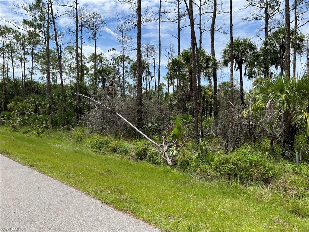 GOLDEN GATE ESTATES - Land