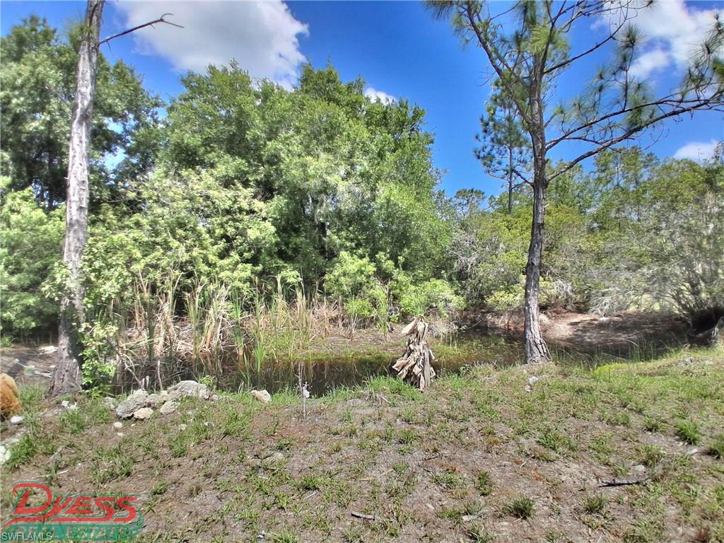 PIONEER PLANTATION - Residential