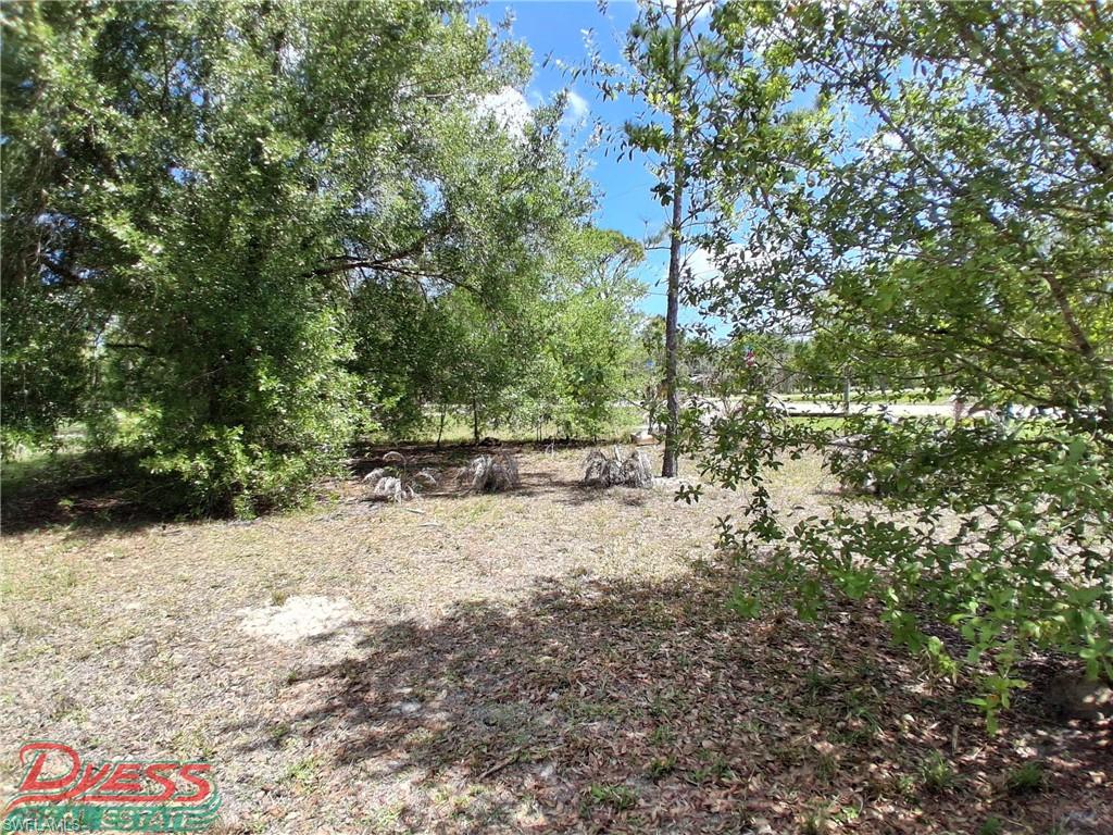 PIONEER PLANTATION - Residential