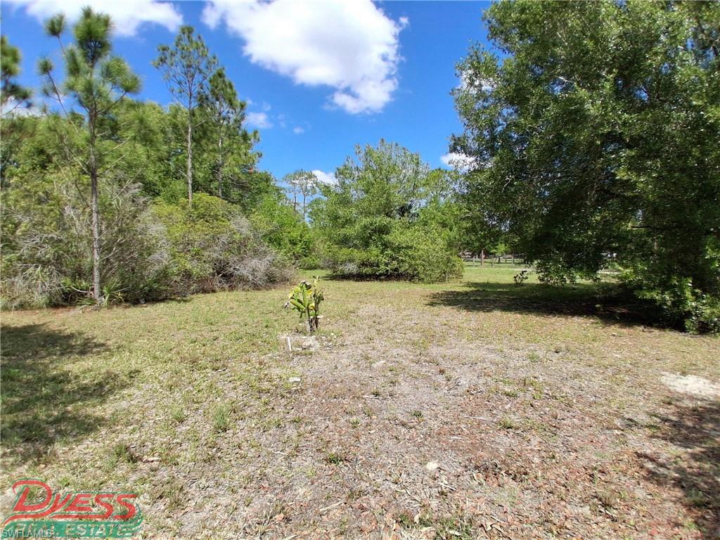 PIONEER PLANTATION - Residential