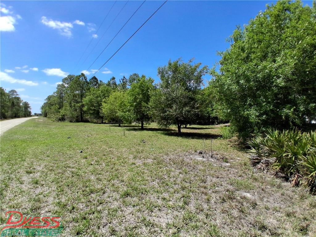 PIONEER PLANTATION - Residential