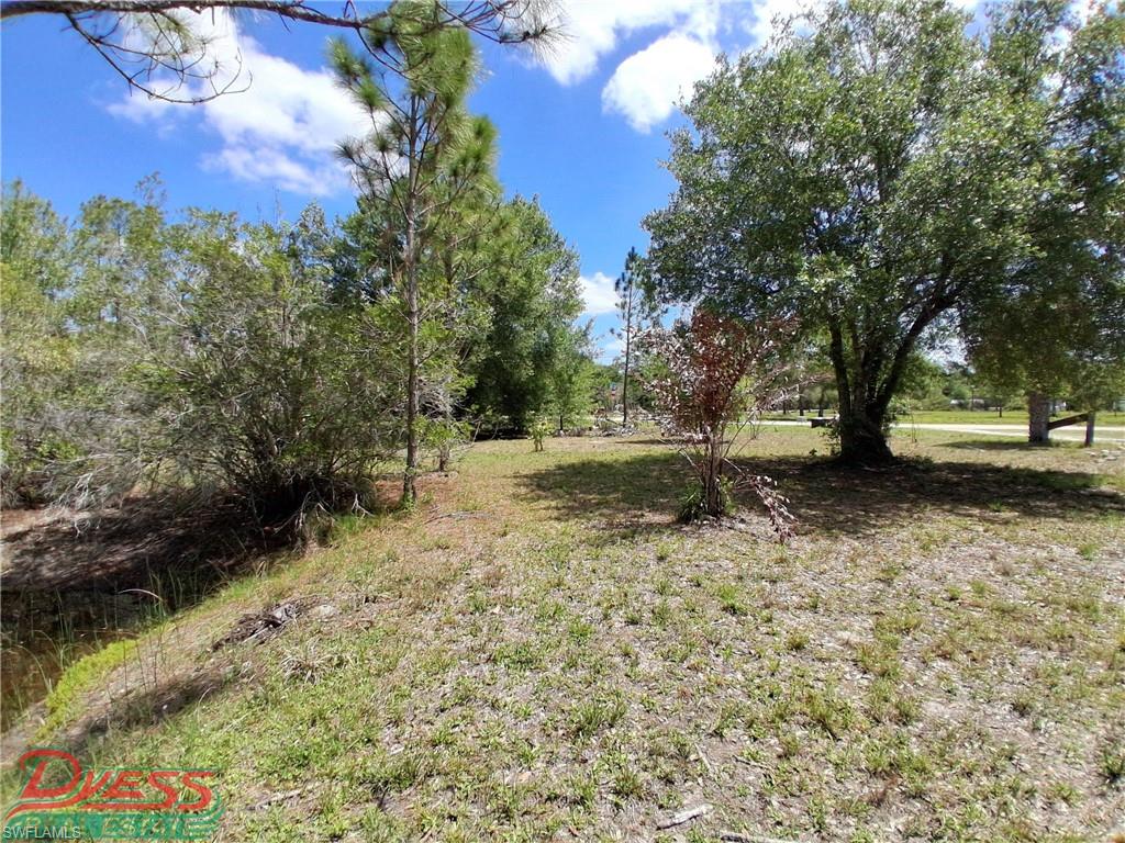 PIONEER PLANTATION - Residential