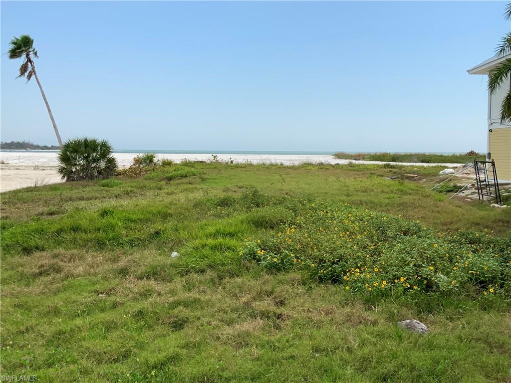 GRAND OLE MAN - Land