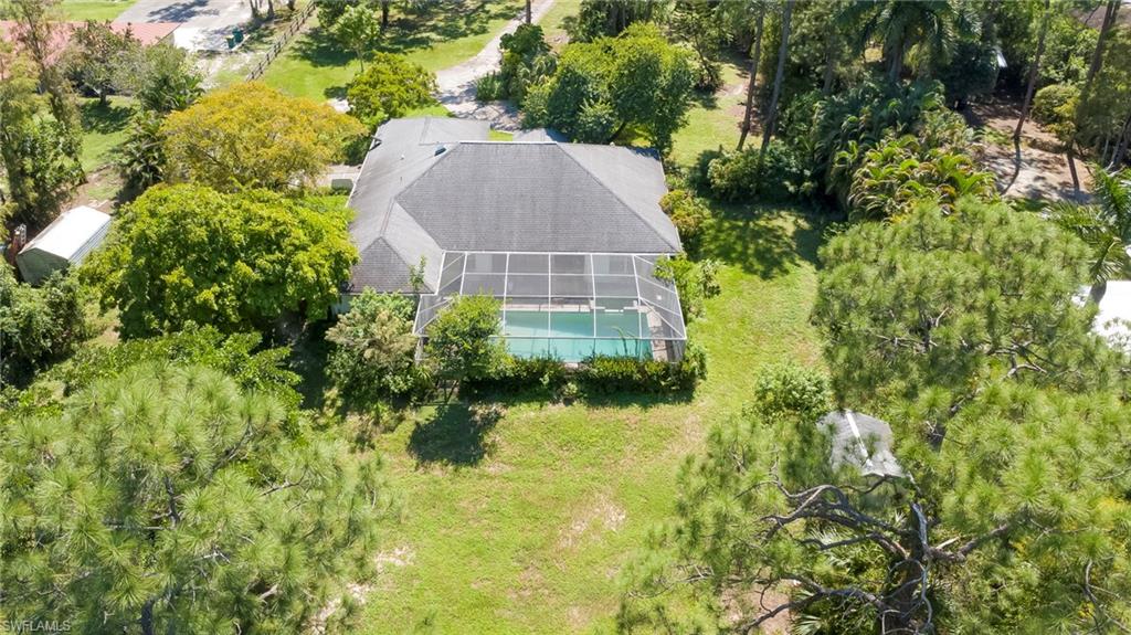 6255 Painted Leaf LN