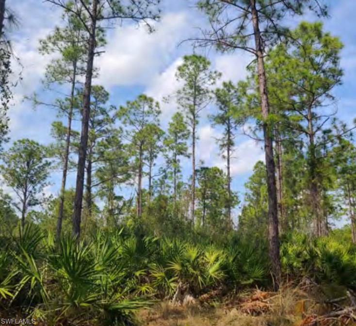 GOLDEN GATE ESTATES - Land