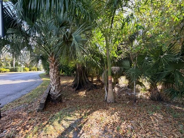 CYPRESS TRAIL RV RESORT - Land