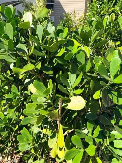 CYPRESS TRAIL RV RESORT - Land