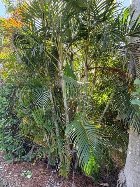 CYPRESS TRAIL RV RESORT - Land