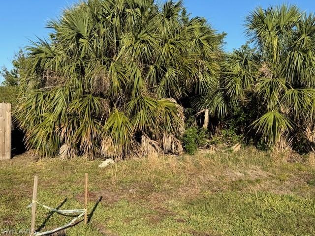 NOT APPLICABLE - Land