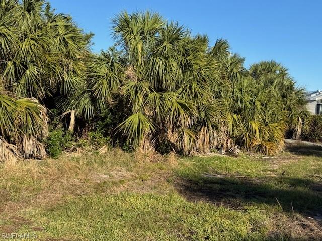 NOT APPLICABLE - Land