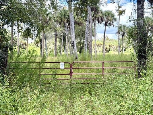 4445 36TH AVE SE, NAPLES, FL 34117 - Image 5575aec79ce8ab70edaed00ecd4a53df/51273167