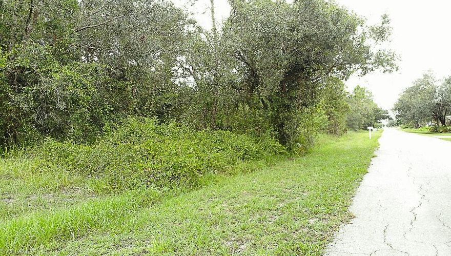 Here's an excellent opportunity to purchase an oversized, half-acre lot in the rapidly expanding region of Lehigh Acres. The lot is situated on a paved street Electricity is readily available, making it a practical and convenient location for building your dream home. In addition, the adjacent lot is also up for sale, offering the opportunity to combine the two for a full-acre property. Don't miss out on this chance to secure your ideal home location. Act now and start planning your future!