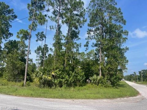Photo of 1010 Manikin AVE S, LEHIGH ACRES, FL 33974 (MLS # 225062275)