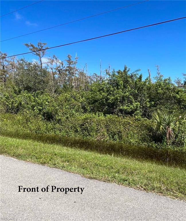 GOLDEN GATE ESTATES - Land